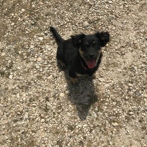 Meet your Posher, Nina